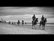 23/10/2014 - A cavallo in spiaggia