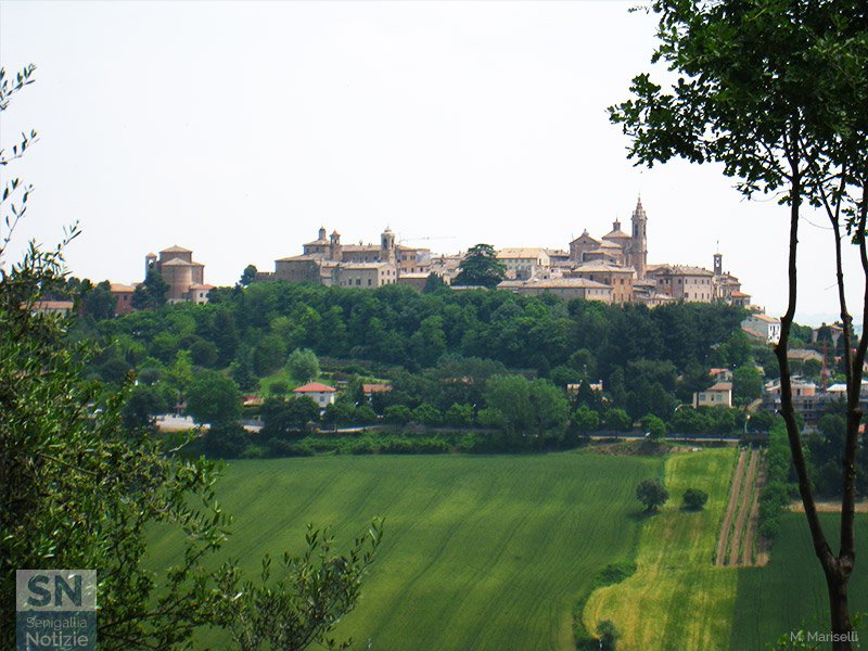 14/10/2015 - Veduta di Corinaldo