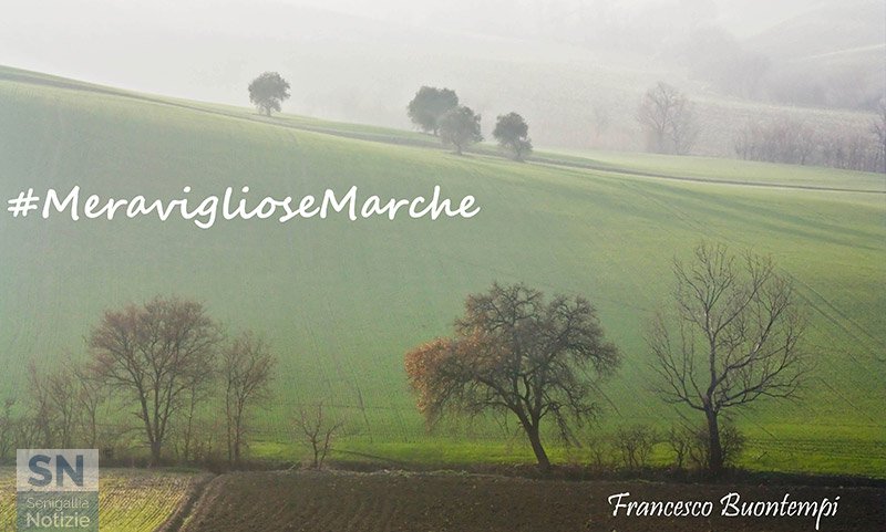 18/10/2015 - Meravigliose Marche