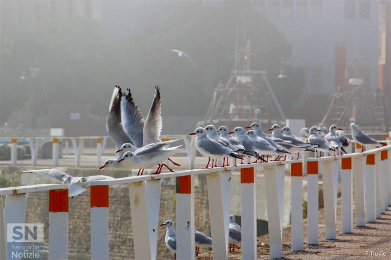 27/10/2015 - Pronti, partenza, via!