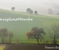 18/10/2015 - Meravigliose Marche
