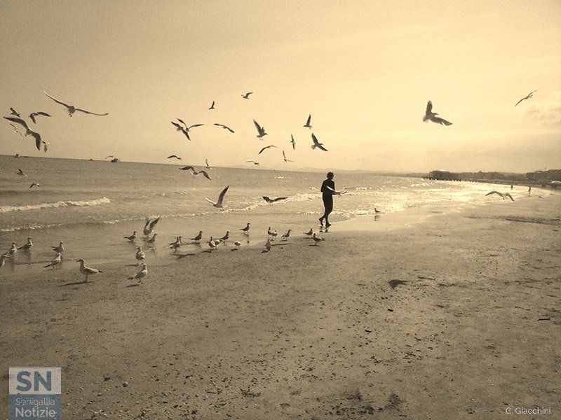 08/10/2016 - E' ora di pranzo