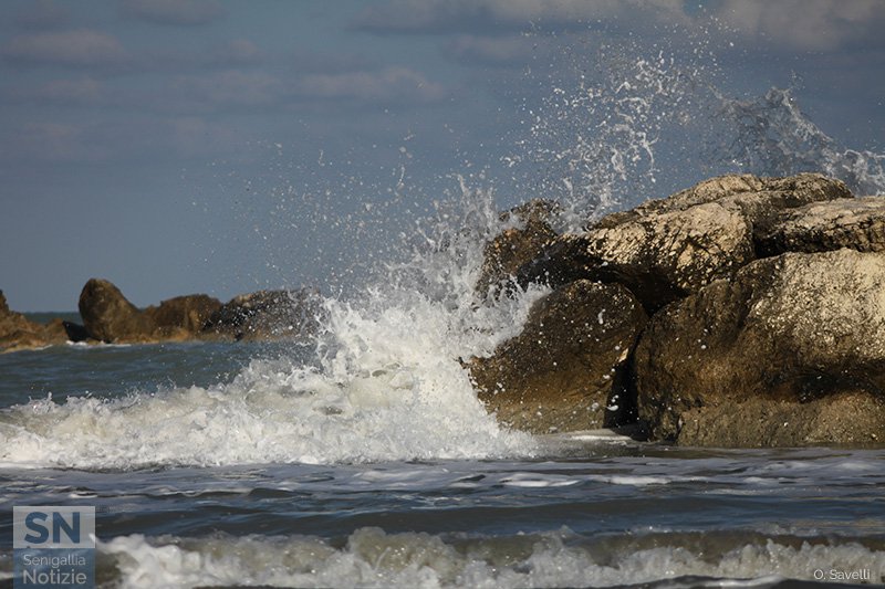 16/10/2016 - Schizzi aggressivi
