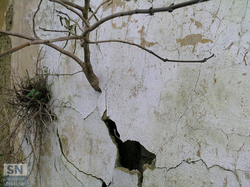 20/10/2016 - Più forte del cemento