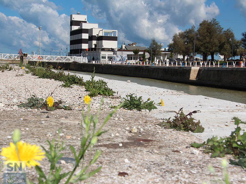 27/10/2017 - Dal cemento