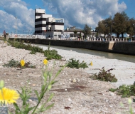 27/10/2017 - Dal cemento