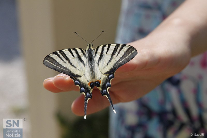 05/10/2018 - Amicizie