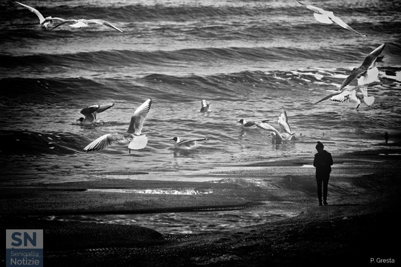 06/10/2018 - Mare, inverno, gabbiani, passeggio