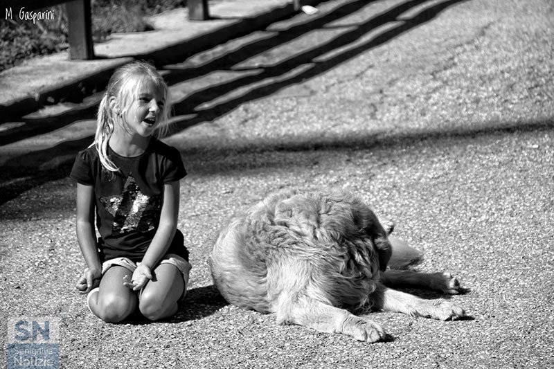 04/10/2019 - Amicizie