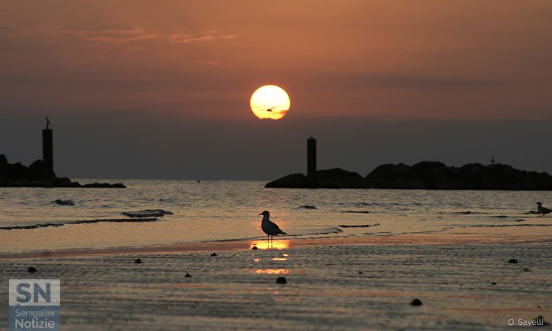 13/10/2019 - Rasoterra