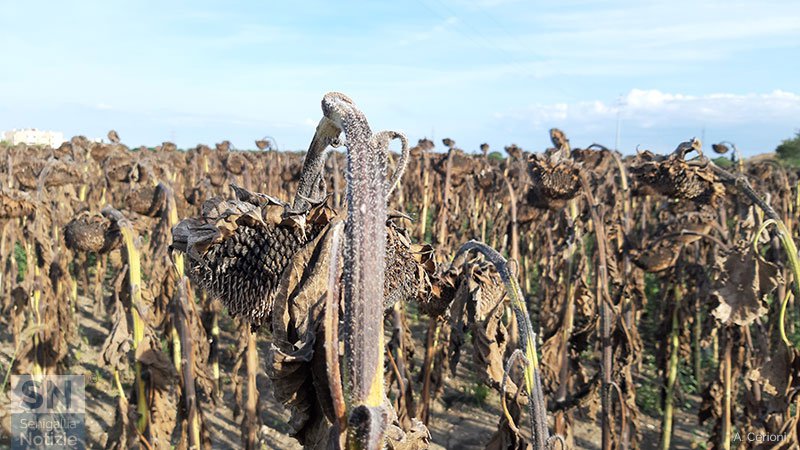 17/10/2019 - Dopo un'estate