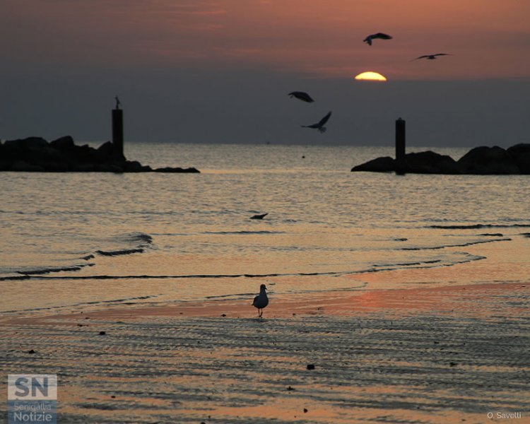 18/10/2019 - Intorno al sole