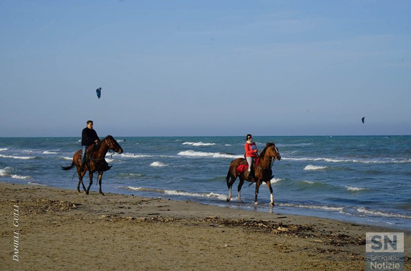 29/10/2019 - Otto zampe sulla riva