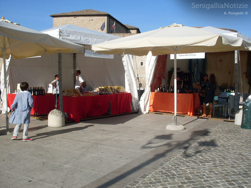 Pane Nostrum 2013 in piazza del Duca a Senigallia