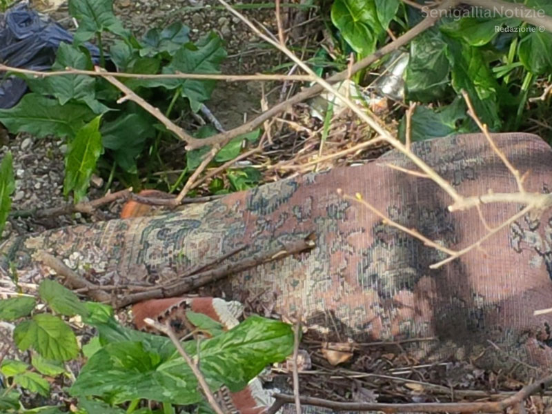 Montemarciano, incuria e degrado