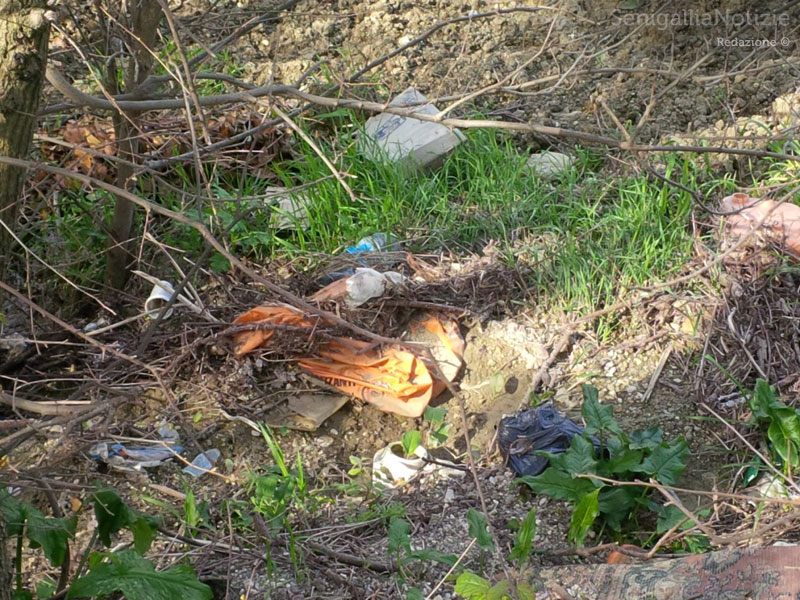 Rifiuti abbandonati sul ciglio della strada