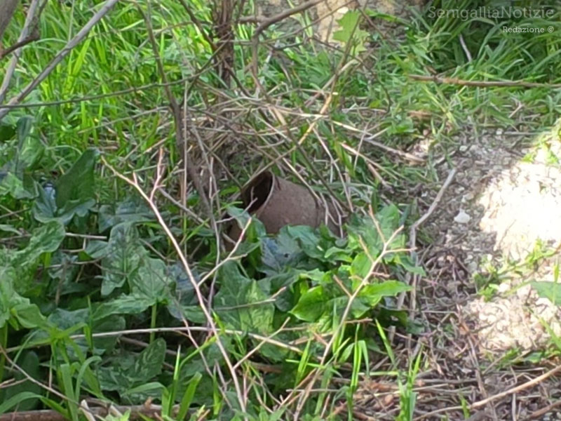 Rifiuti abbandonati in strada a Marina di Montemarciano