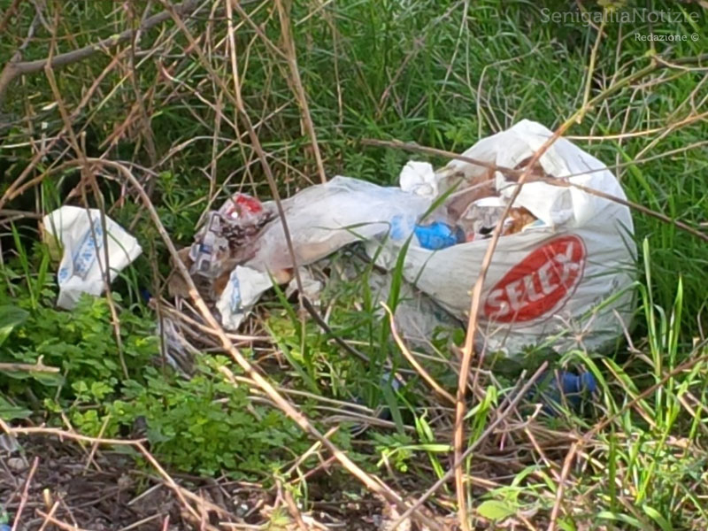 Abbandono di rifiuti sul ciglio della strada