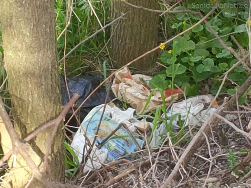Rifiuti abbandonati in strada a Marina di Montemarciano