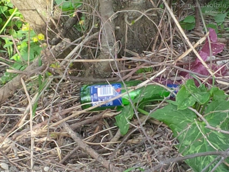 Abbandono di rifiuti sul ciglio della strada