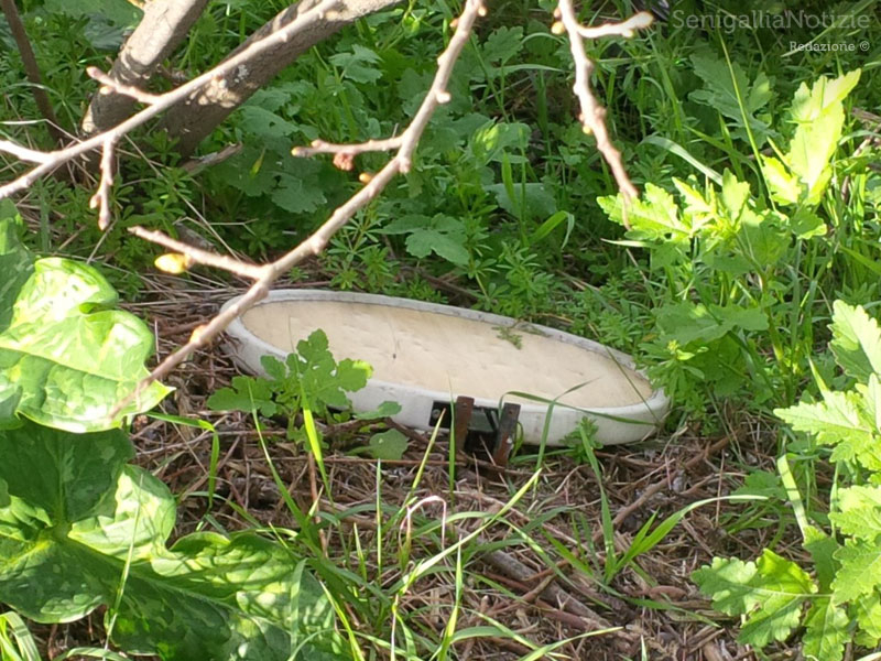 Abbandono di rifiuti sul ciglio della strada