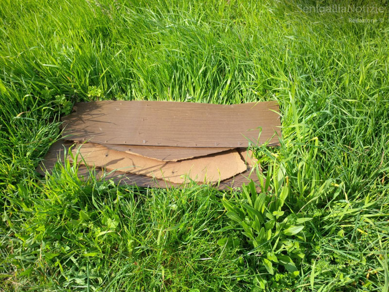 Rifiuti abbandonati in strada a Marina di Montemarciano