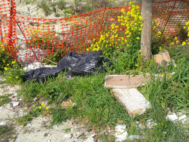 Abbandono di rifiuti sul ciglio della strada