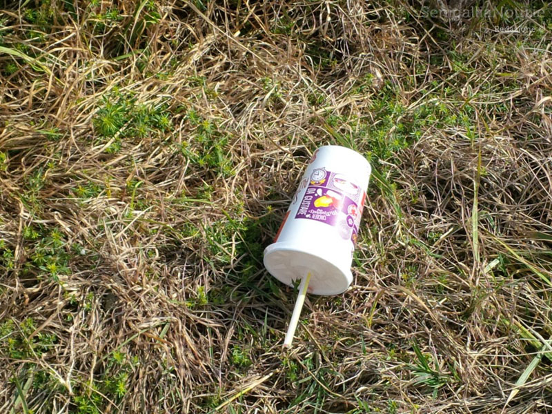 Montemarciano, incuria e degrado