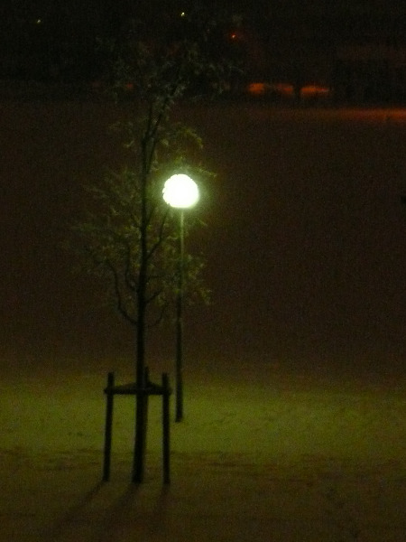 Pista ciclabile della Cesanella