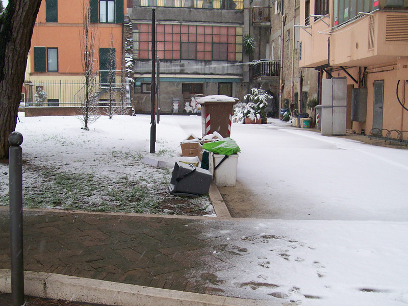 Rifiuti non ritirati nel Rione Porto di Senigallia