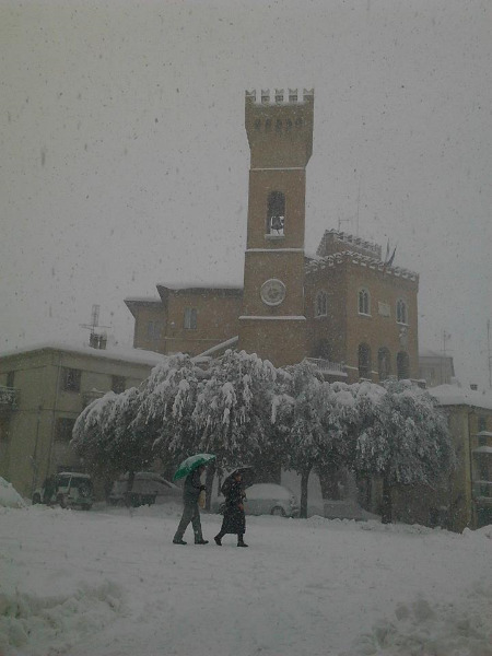 Ripe di nuovo sotto la neve