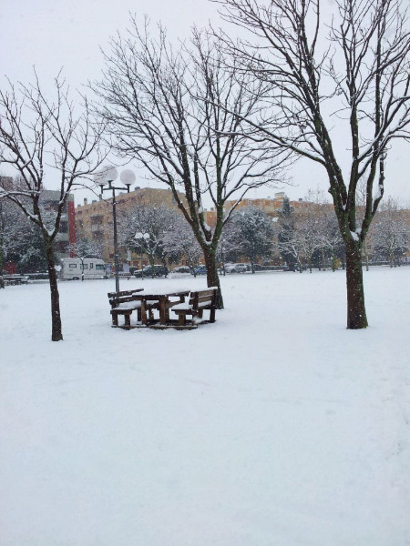 Il parco della Pace di Senigallia di nuovo imbiancato