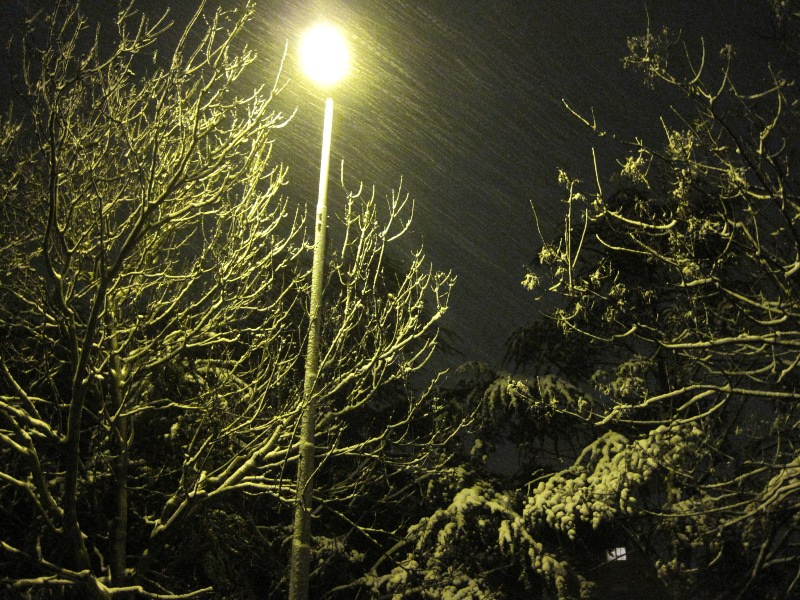 Fitta nevicata su Senigallia