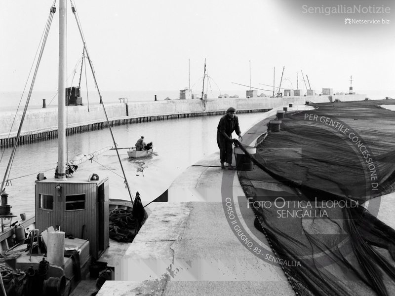 Pescatori al porto di Senigallia - Leopoldi-1040