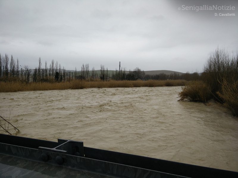La situazione del fiume Cesano