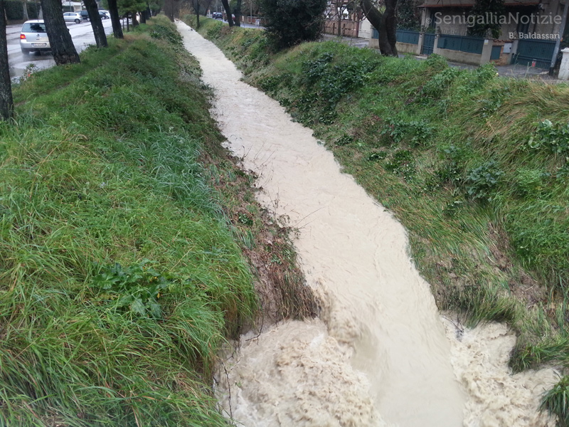 La situazione del fosso Sant'Angelo a Senigallia