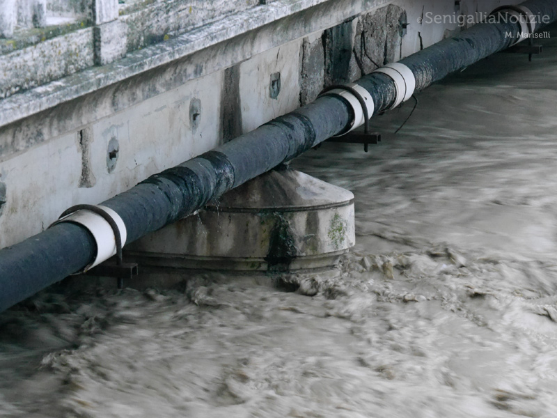 La piena del fiume Misa