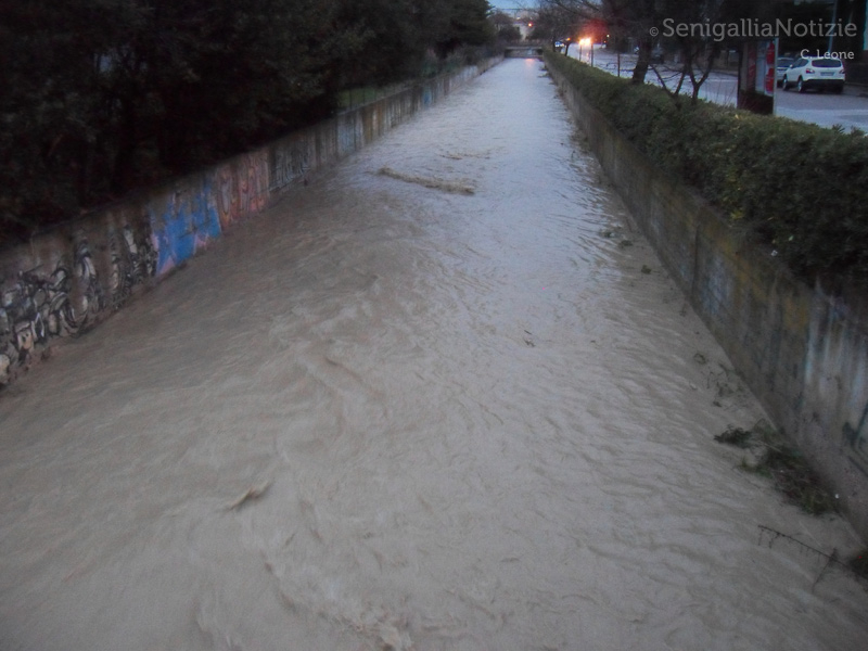 La situazione del fosso Sant'Angelo a Senigallia