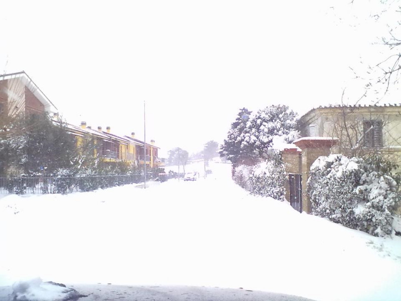 Roncitelli sotto la neve il 4 febbraio