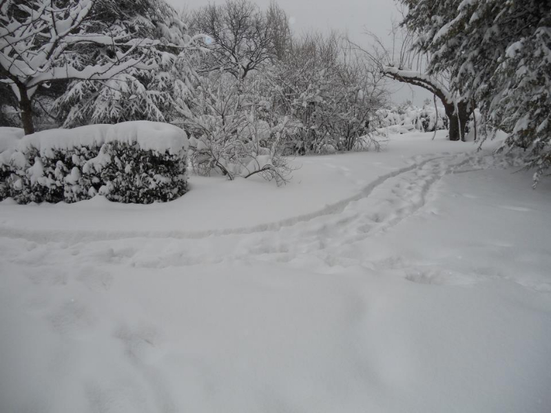 Zona Torre di Montignano