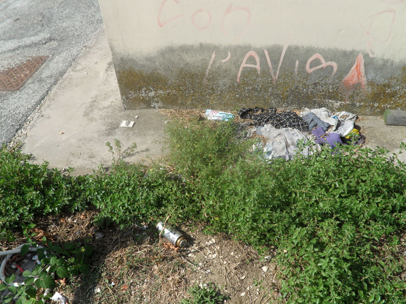 Senigallia: lo stato del Bosco di Topolino