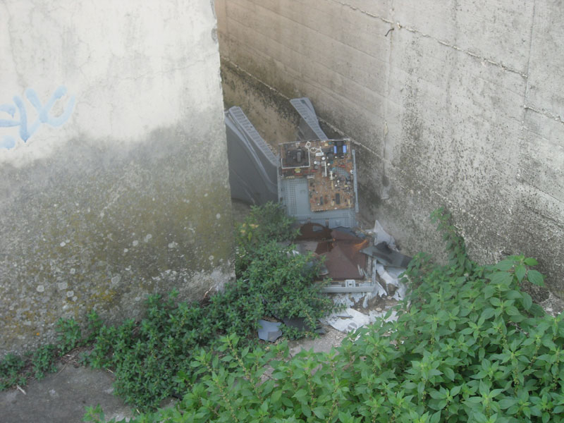 Sporcizia nel Bosco di Topolino a Senigallia