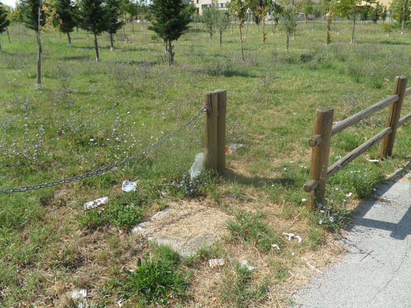 Senigallia: lo stato del Bosco di Topolino