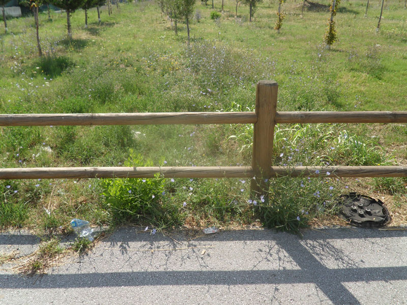 Incuria nel Bosco di Topolino a Senigallia