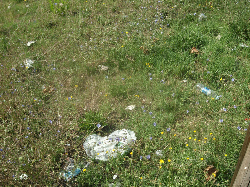 Sporcizia nel Bosco di Topolino a Senigallia