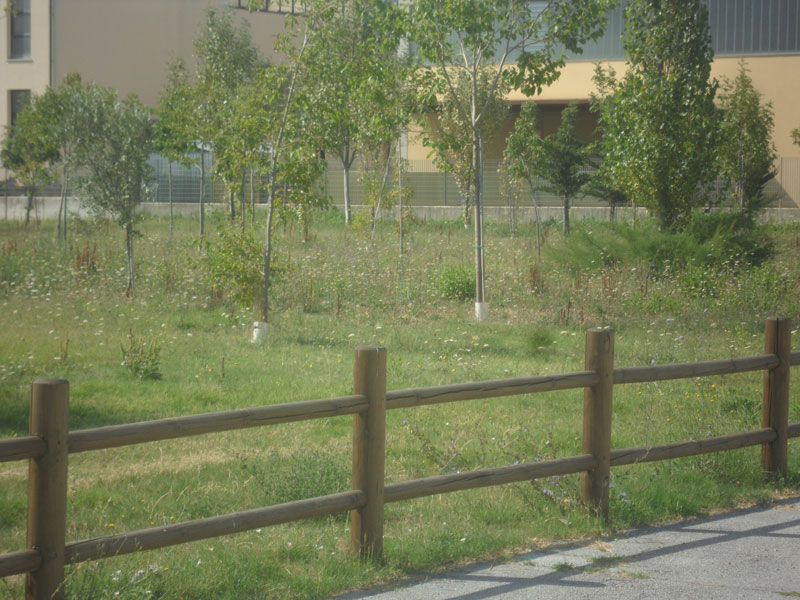 Incuria nel Bosco di Topolino a Senigallia