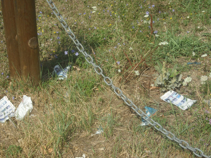 Sporcizia nel Bosco di Topolino a Senigallia