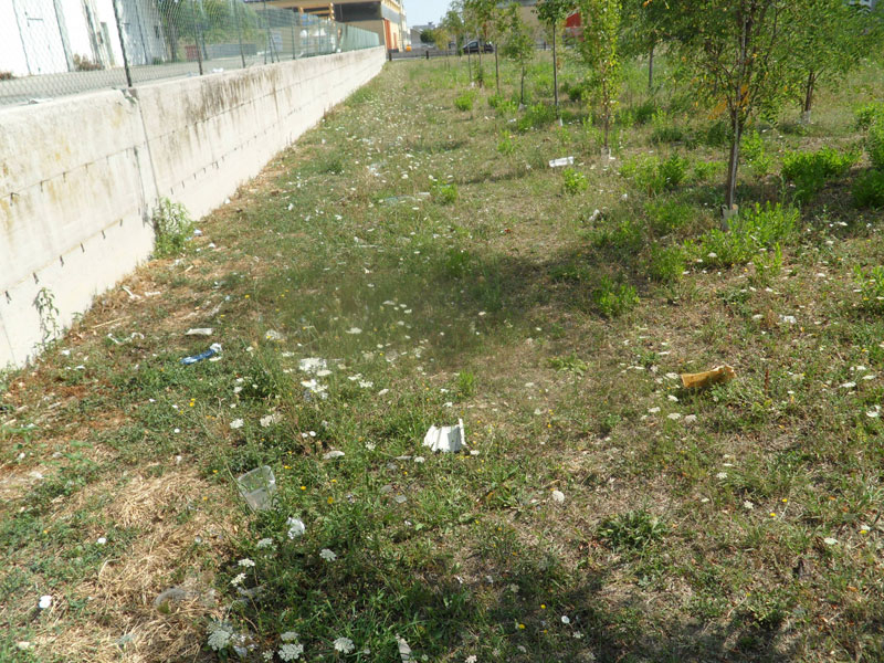 Senigallia: lo stato del Bosco di Topolino