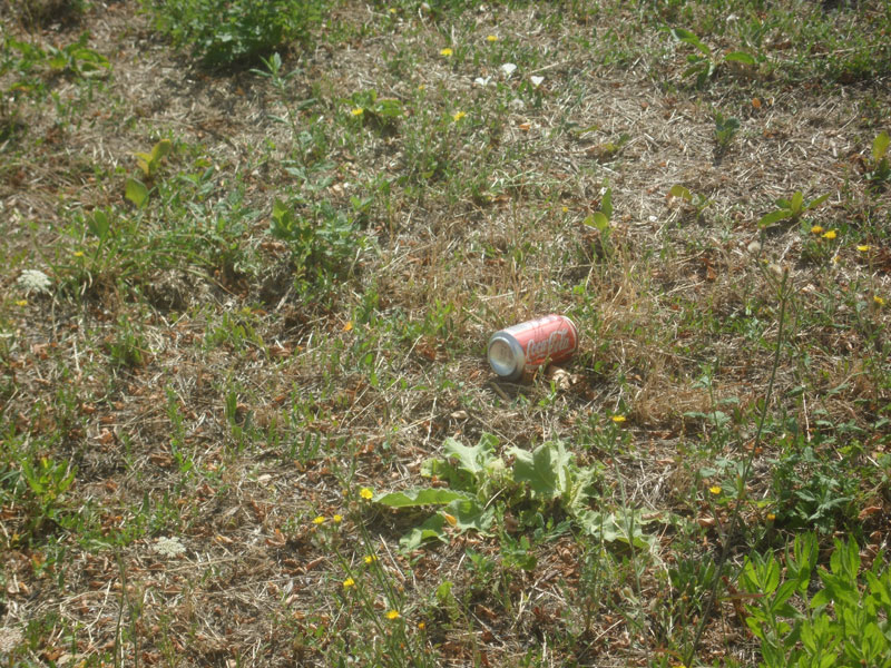 Incuria nel Bosco di Topolino a Senigallia