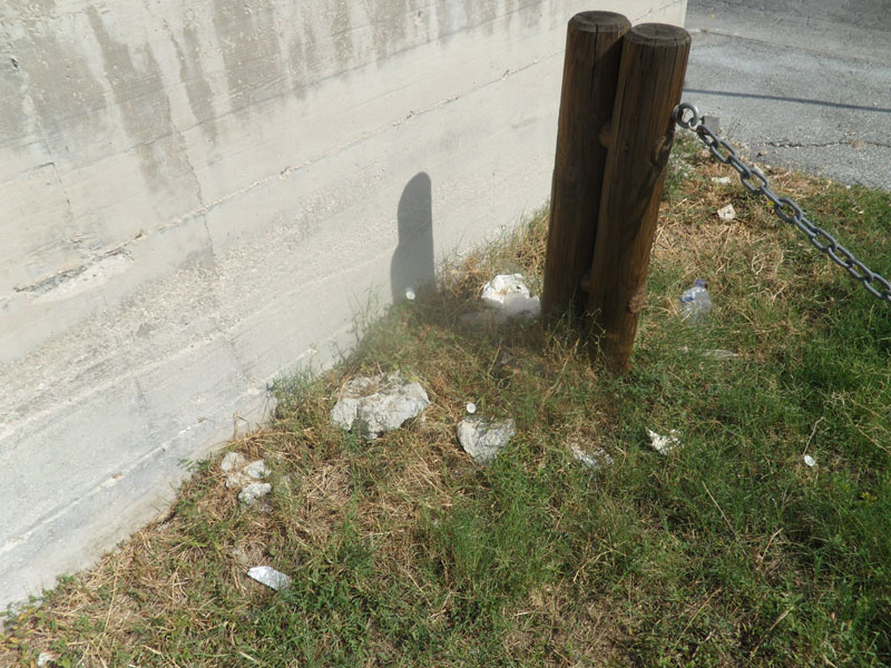 Incuria nel Bosco di Topolino a Senigallia